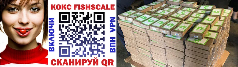 купить наркоту  Новомичуринск  Кокаин Fish Scale 