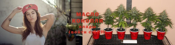 тгк Абинск