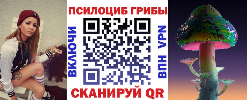 мориарти наркотические препараты  Новомичуринск  Галлюциногенные грибы Psilocybe  купить наркотик 