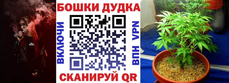 Каннабис OG Kush где продают Новомичуринск